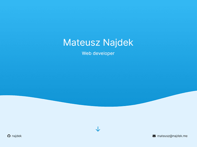 Picture of This Portfolio